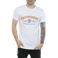 Pikkukuva 3 / 5: Harry Potter Mens Gryffindor Team Quidditch T-Shirt