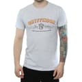 Pikkukuva 3 / 5: Harry Potter Mens Gryffindor Team Quidditch T-Shirt