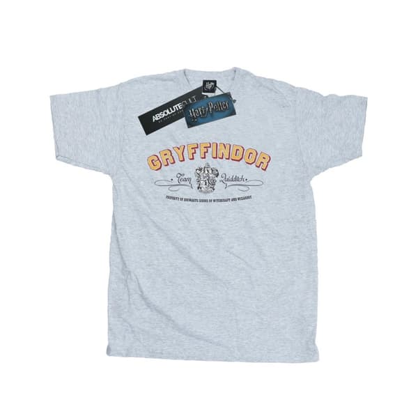 Harry Potter Mens Gryffindor Team Quidditch T-Shirt