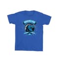 Miniatyrbild 1 av 3: Harry Potter Ravenclaw Toon Crest T-shirt för pojkar