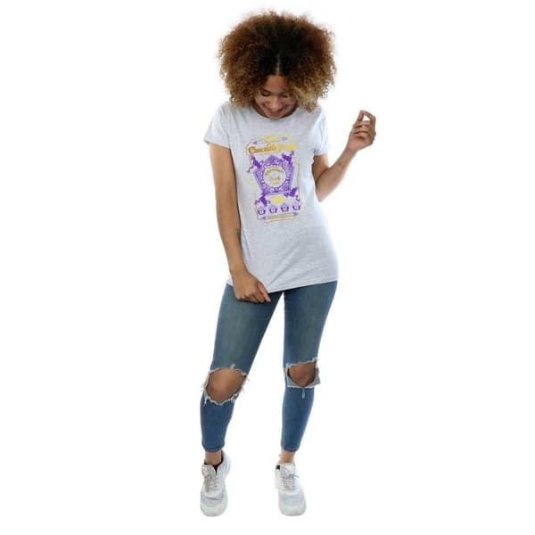 Harry Potter Womens/Ladies Chocolate Frogs Coloured Label Cotton T-Shirt