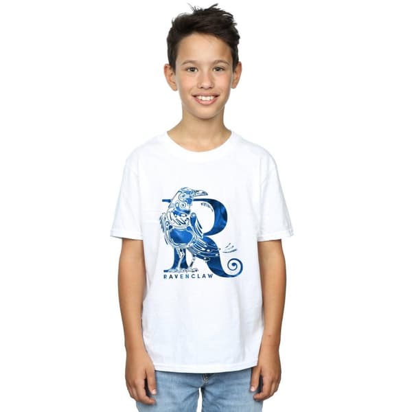 Harry Potter Boys Ravenclaw Raven T-Shirt