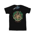 Miniatyrbild 1 av 5: Harry Potter Boyfriend-T-shirt i bomull med julkrans för damer/damer