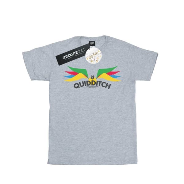 Harry Potter T-shirt "Snitch Wings Pastels" för herrar