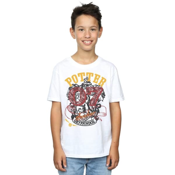 Harry Potter Boys Gryffindor Seeker T-Shirt
