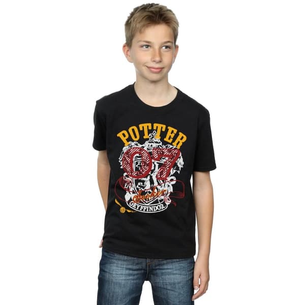 Harry Potter Boys Gryffindor Seeker T-Shirt