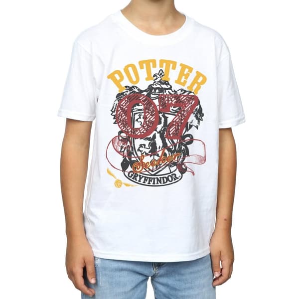 Harry Potter Boys Gryffindor Seeker T-Shirt