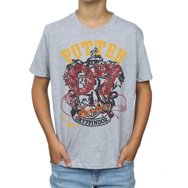 Harry Potter Boys Gryffindor Seeker T-Shirt