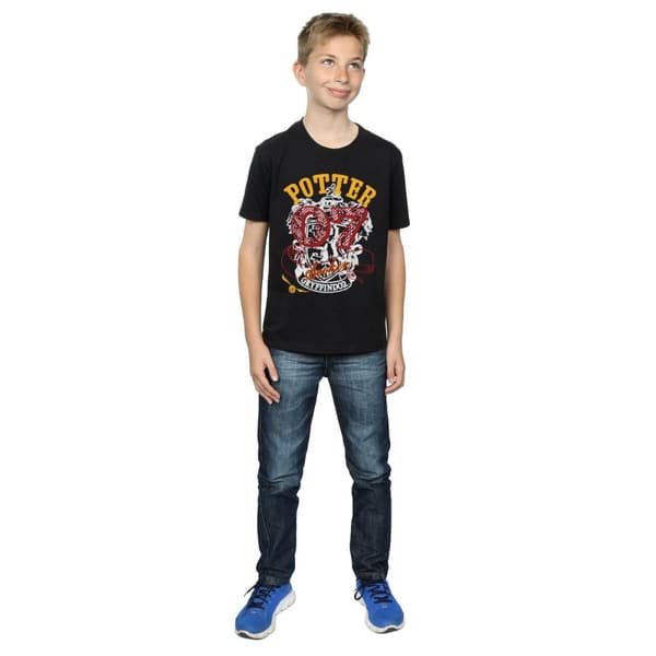 Harry Potter Boys Gryffindor Seeker T-Shirt