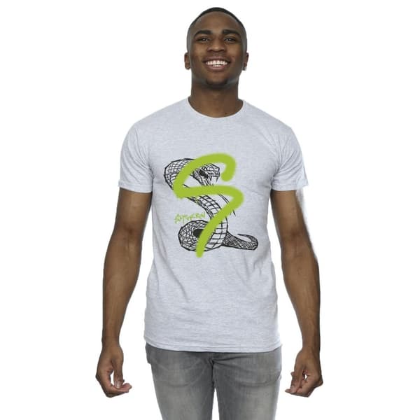 Harry Potter Mens Slytherin Pop Spray T-Shirt