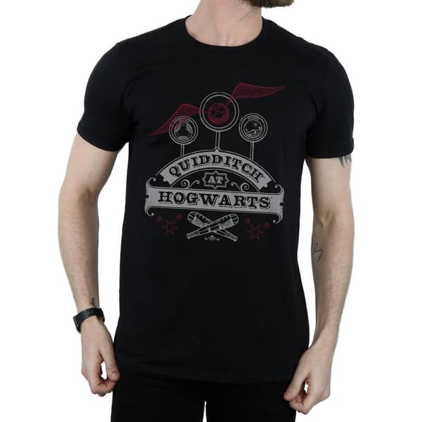 Harry Potter Mens Quidditch At Hogwarts T-Shirt