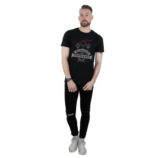 Harry Potter Mens Quidditch At Hogwarts T-Shirt
