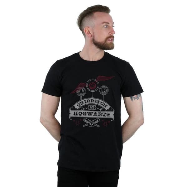 Harry Potter Mens Quidditch At Hogwarts T-Shirt