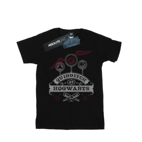 Harry Potter Mens Quidditch At Hogwarts T-Shirt