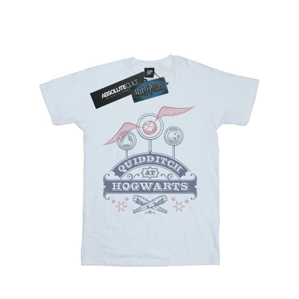 Harry Potter Mens Quidditch At Hogwarts T-Shirt