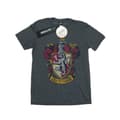 Miniatyrbilde 1 av 3: Harry Potter Womens/Ladies Gryffindor Distressed Crest Cotton Boyfriend T-Shirt