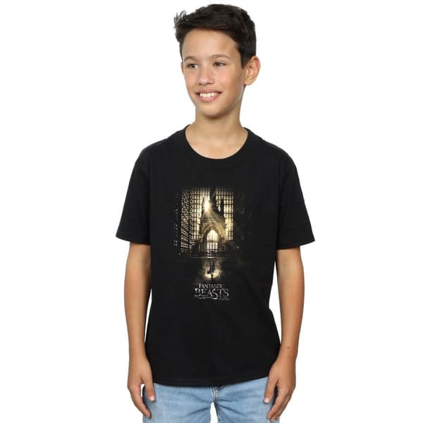 Fantastic Beasts T-shirt för pojkar med filmaffischer