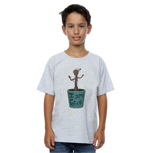 Marvel Pojkar - Guardians Of The Galaxy Groot T-shirt med blomkruka