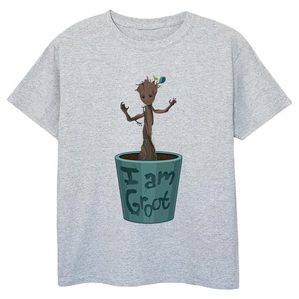Marvel Pojkar - Guardians Of The Galaxy Groot T-shirt med blomkruka Sports Grey 9-11 Years