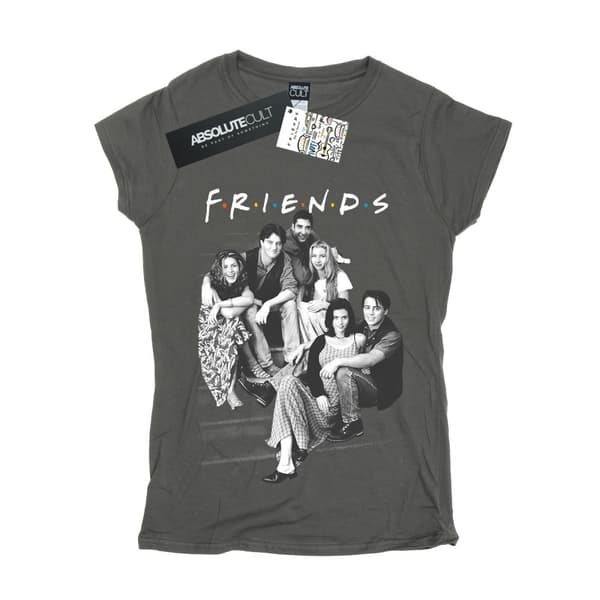 Friends Womens/Ladies Group Stairs Cotton T-Shirt