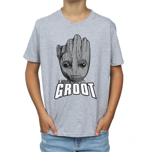 Marvel Boys Guardians Of The Galaxy Groot Face T-Shirt