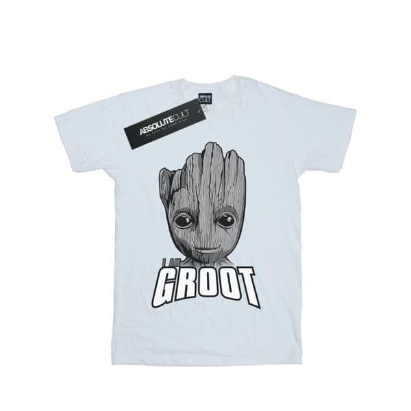 Marvel Boys Guardians Of The Galaxy Groot Face T-Shirt