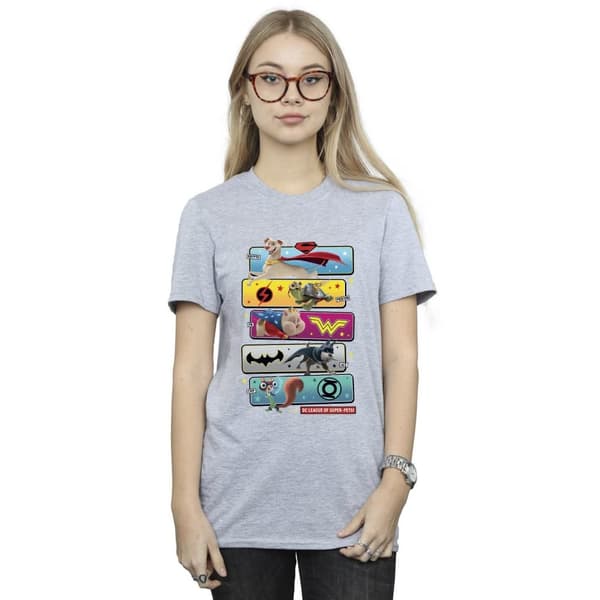 DC Comics Womens/Ladies DC League Of Super-Pets Character Pose Cotton Boyfriend T-Shirt