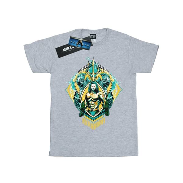 DC Comics Boys Aquaman The Trench Crest T-Shirt Sports Grey 5-6 Years