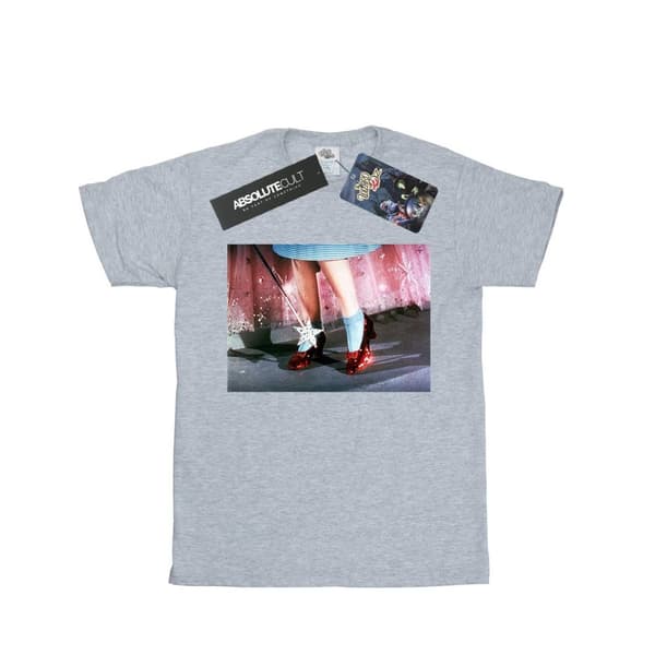 The Wizard Of Oz Womens/Ladies There´s No Place Like Home Cotton Boyfriend T-Shirt Sports Grey L
