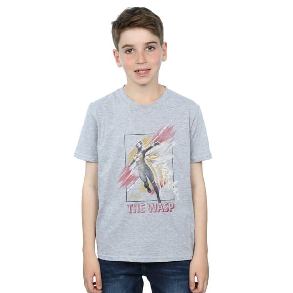 Marvel Pojkar - Ant-Man And The Wasp - T-shirt med inramning