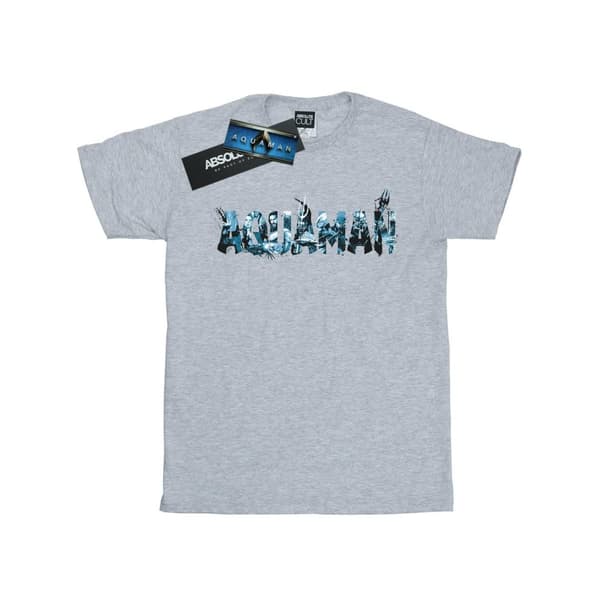 DC Comics Womens/Ladies Aquaman Text Logo Cotton Boyfriend T-Shirt