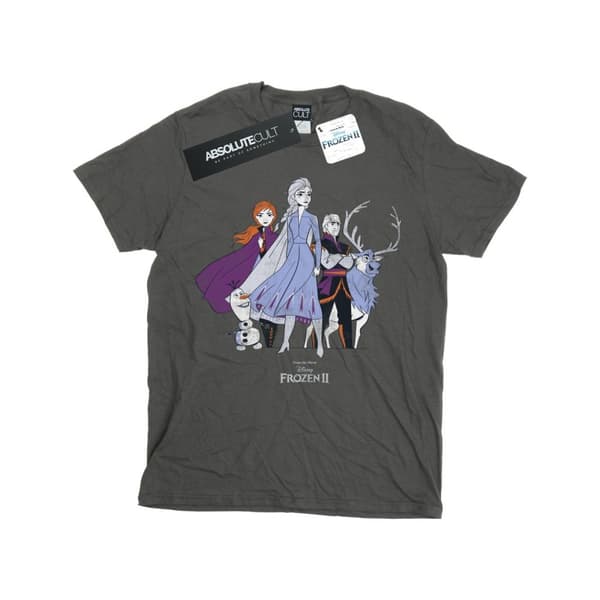 Disney Frozen 2 Distressed Group T-shirt för herrar