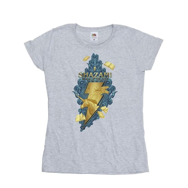 DC Comics Dam/Tjej Shazam Fury Of The Gods Golden Animal Bolt Bomulls-T-shirt Sports Grey XXL