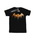 Miniatyrbillede 1 af 5: DC Comics Womens/Ladies Batman Arkham Knight Halloween Moon Logo Fill Cotton Boyfriend T-Shirt