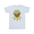 Miniatyrbild 1 av 3: Disney Mens Mupparna Kermit huvud T-shirt