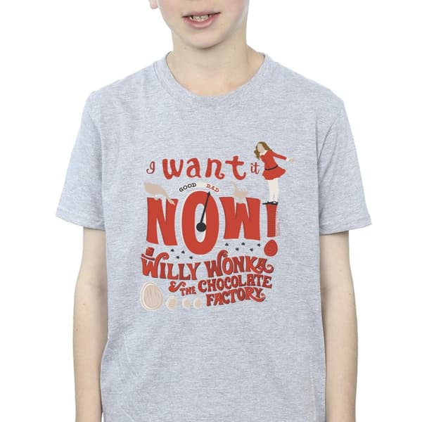 Willy Wonka Boys Verruca Salt I Want It Now T-Shirt