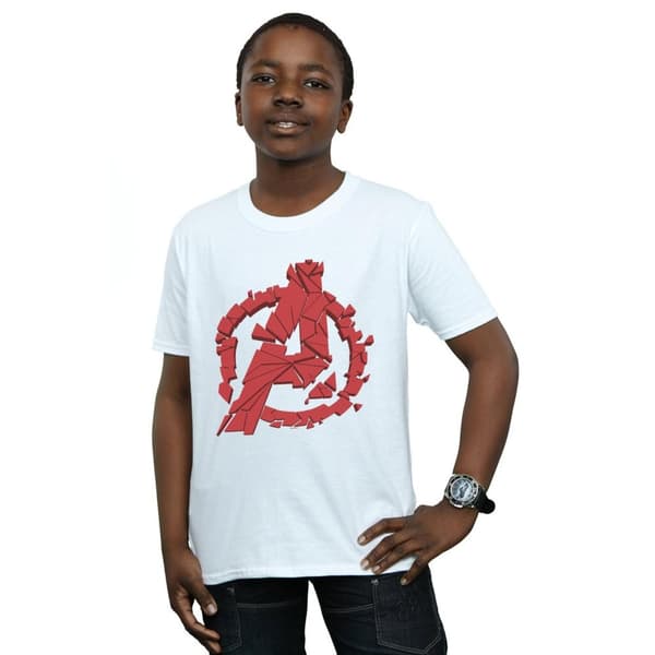 Marvel Boys Avengers Endgame Shattered Logo T-Shirt