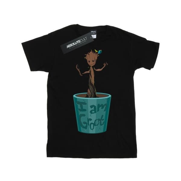 Marvel Guardians Of The Galaxy Baby Groot T-shirt med blomkruka för herrar