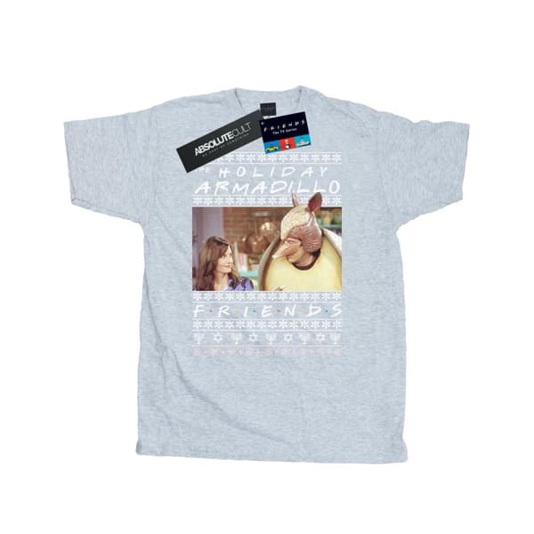 Friends Mens Fair Isle Holiday Armadillo T-Shirt