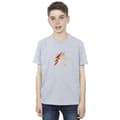 Miniatyrbild 2 av 4: DC Comics Pojkar - The Flash Lightning T-shirt med logotyp