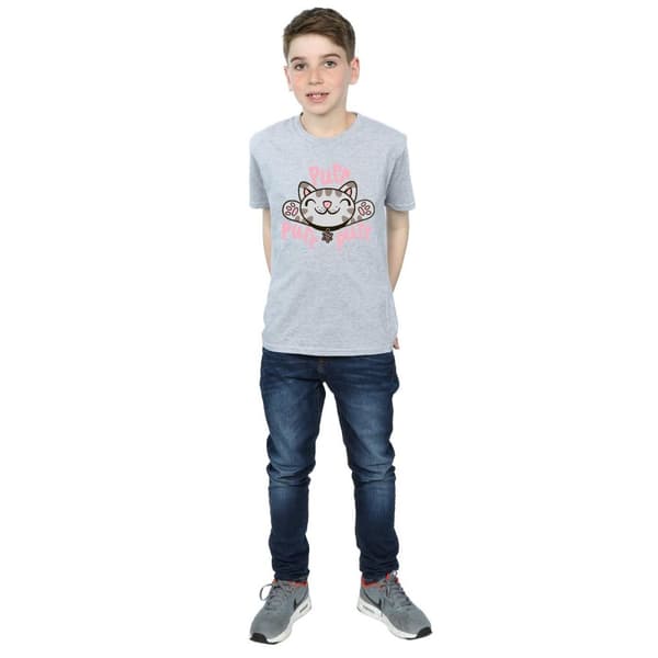 Big Bang Theory Boys Soft Kitty Purr T-Shirt