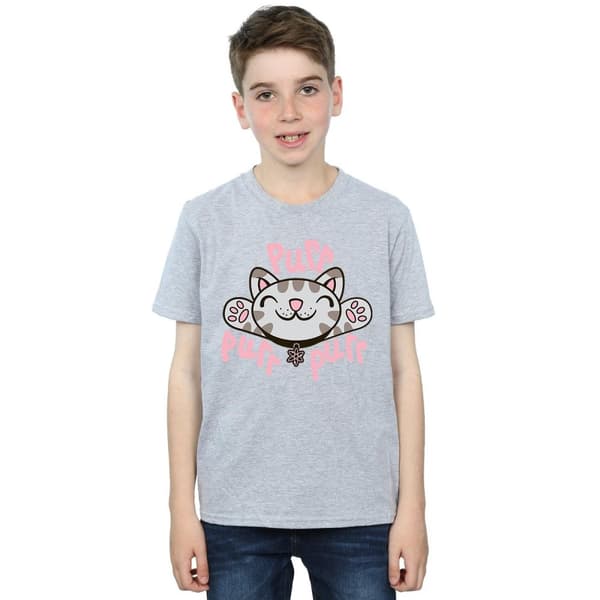 Big Bang Theory Boys Soft Kitty Purr T-Shirt