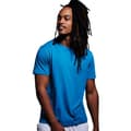 Miniatyrbillede 2 af 2: Anthem Unisex Adult Midweight Organic T-Shirt