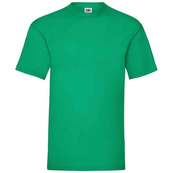 Fruit of the Loom Mens Valueweight T-Shirt