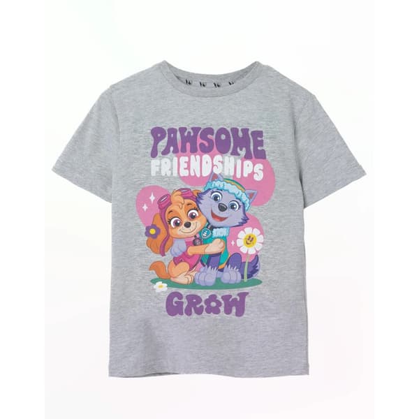Paw Patrol Girls Pawsome Friendships Marl T-Shirt