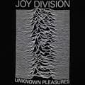 Miniatyrbillede 2 af 2: Joy Division Womens/Ladies Unknown Pleasures T-Shirt