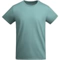 Miniatyrbilde 1 av 2: Roly Mens Breda Plain T-Shirt