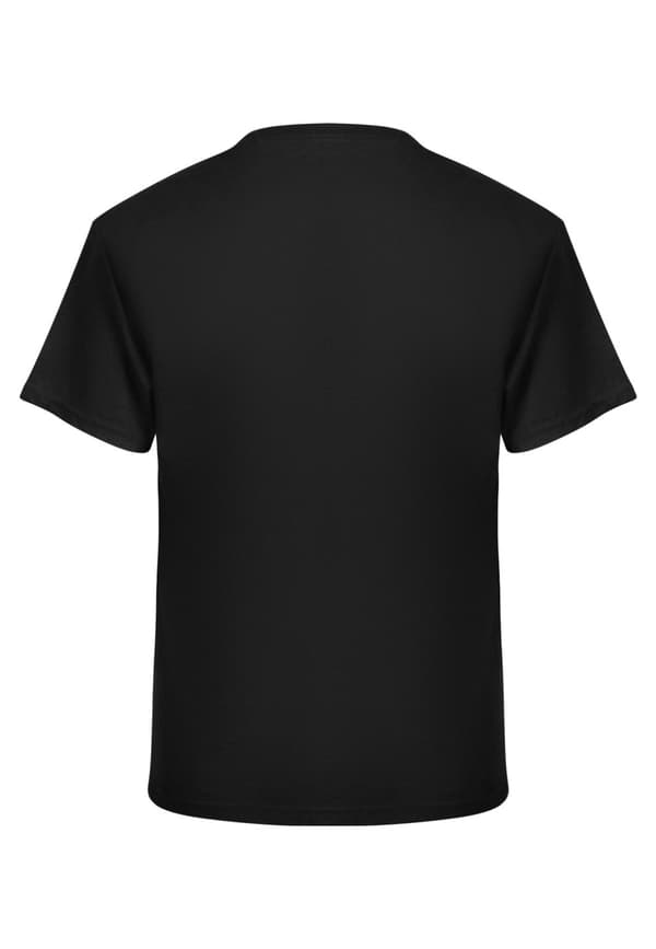 Pink Floyd - Dark side of the moon band t-shirt
