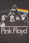 Miniatyrbillede 4 af 4: Pink Floyd - Dark side of the moon band  t-shirt
