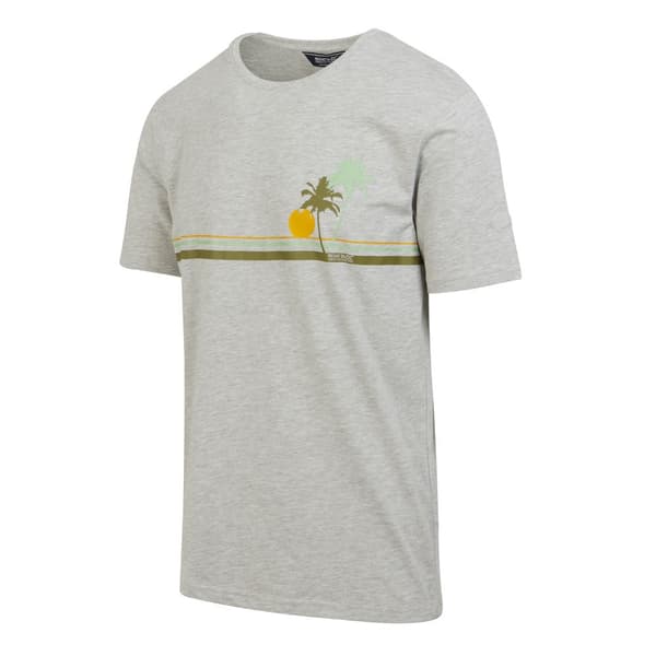 Regatta Mens Cline VIII Sunset Marl T-Shirt
